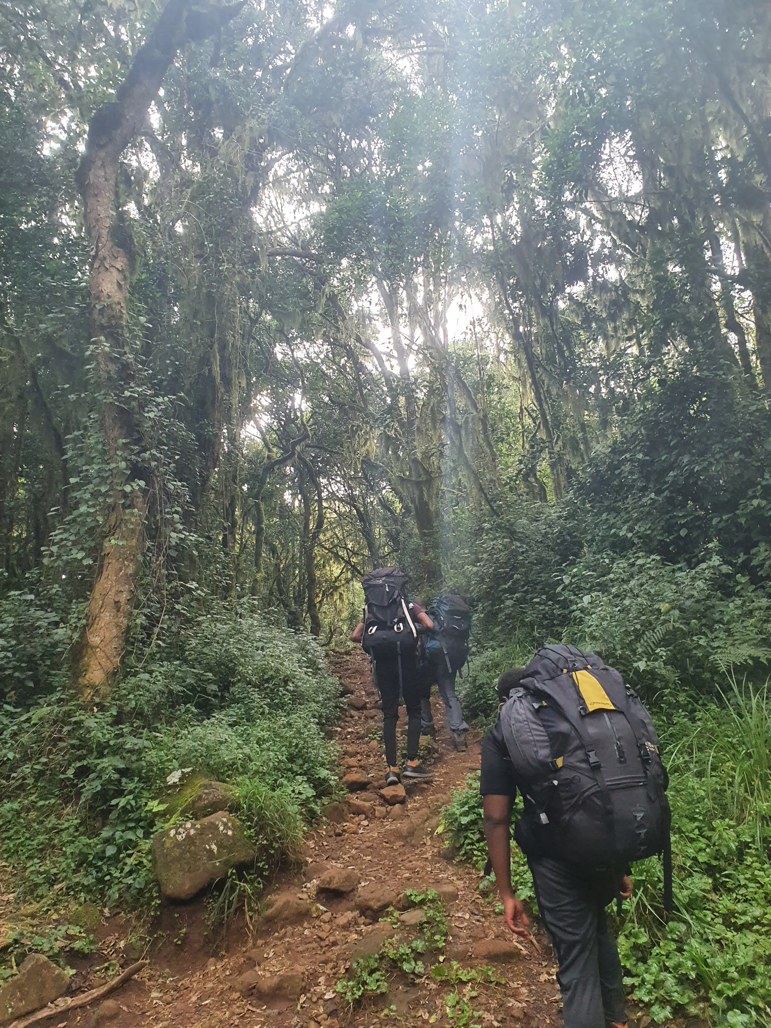 Mount Kilimanjaro