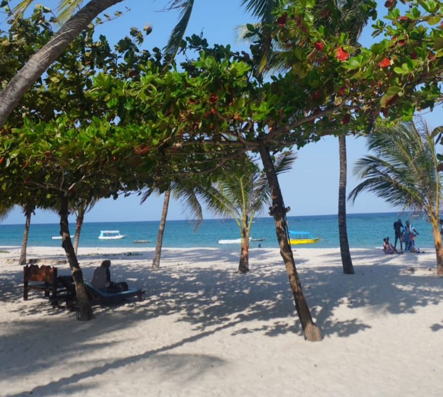 Diani Beach Coastal Tours